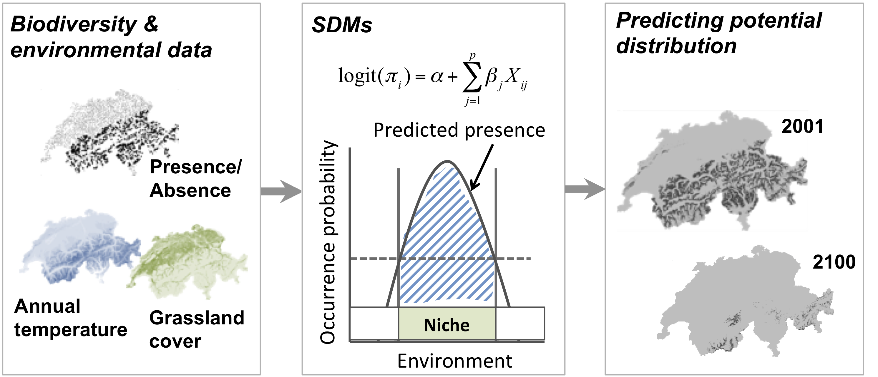 **Figure 1. Schematic representation of the species distribution modelling concept. First, biodiversity and environmental information are sampled in geographic space. Second, a statistical model (here, generalised linear model) is used to estimate the species-environment relationship. Third, the species–environment relationship can be mapped onto geographic layers of environmental information to delineate the potential distribution of the species. Mapping to the sampling area and period is usually referred to as interpolation, while transferring to a different time period or geographic area is referred to as extrapolation.**